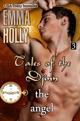 The Angel book cover