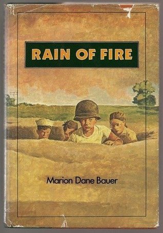 Rain of Fire book cover