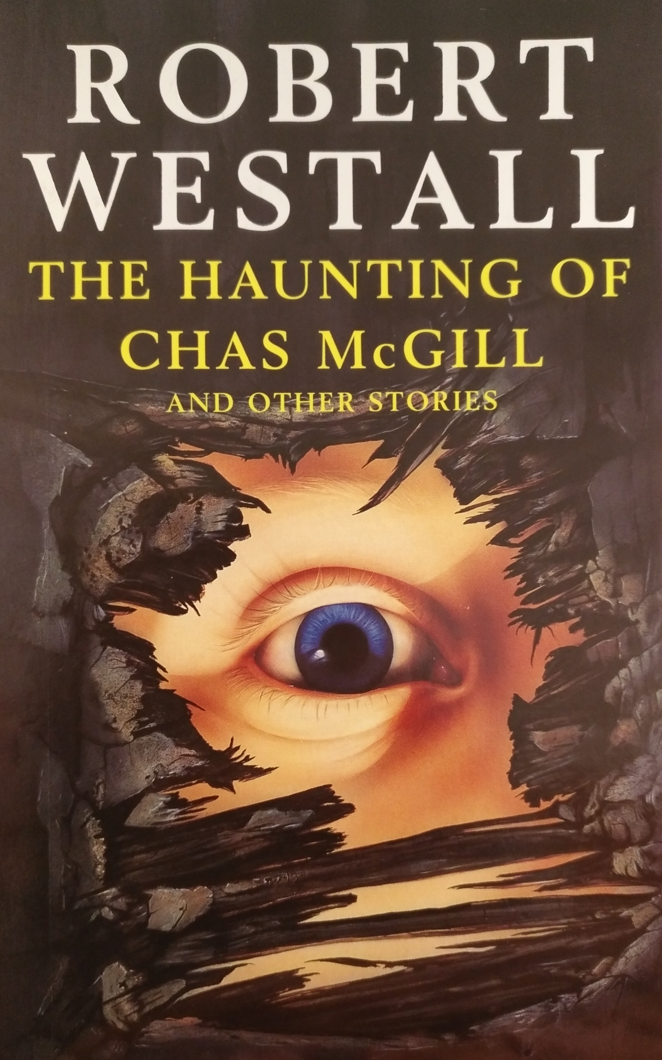 The Haunting of Chas McGill and Other Stories book cover