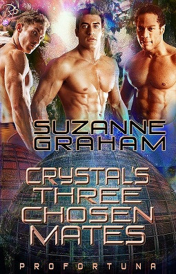 Profortuna book cover 3