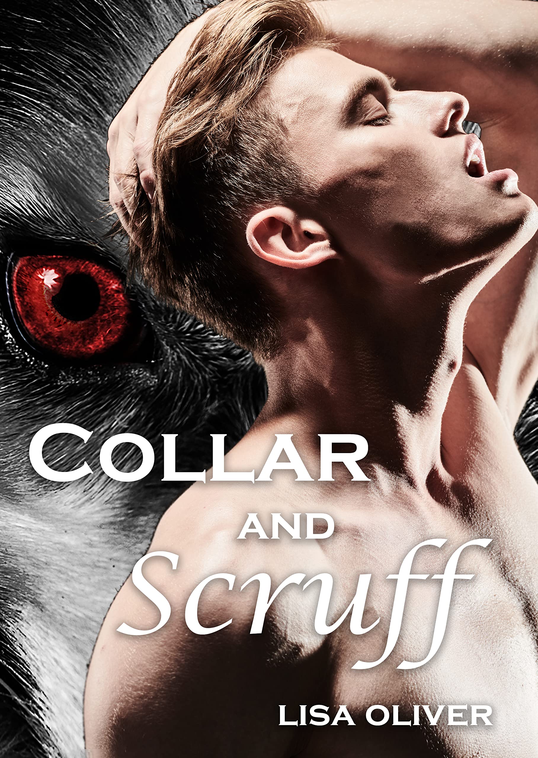 Collar and Scruff book cover