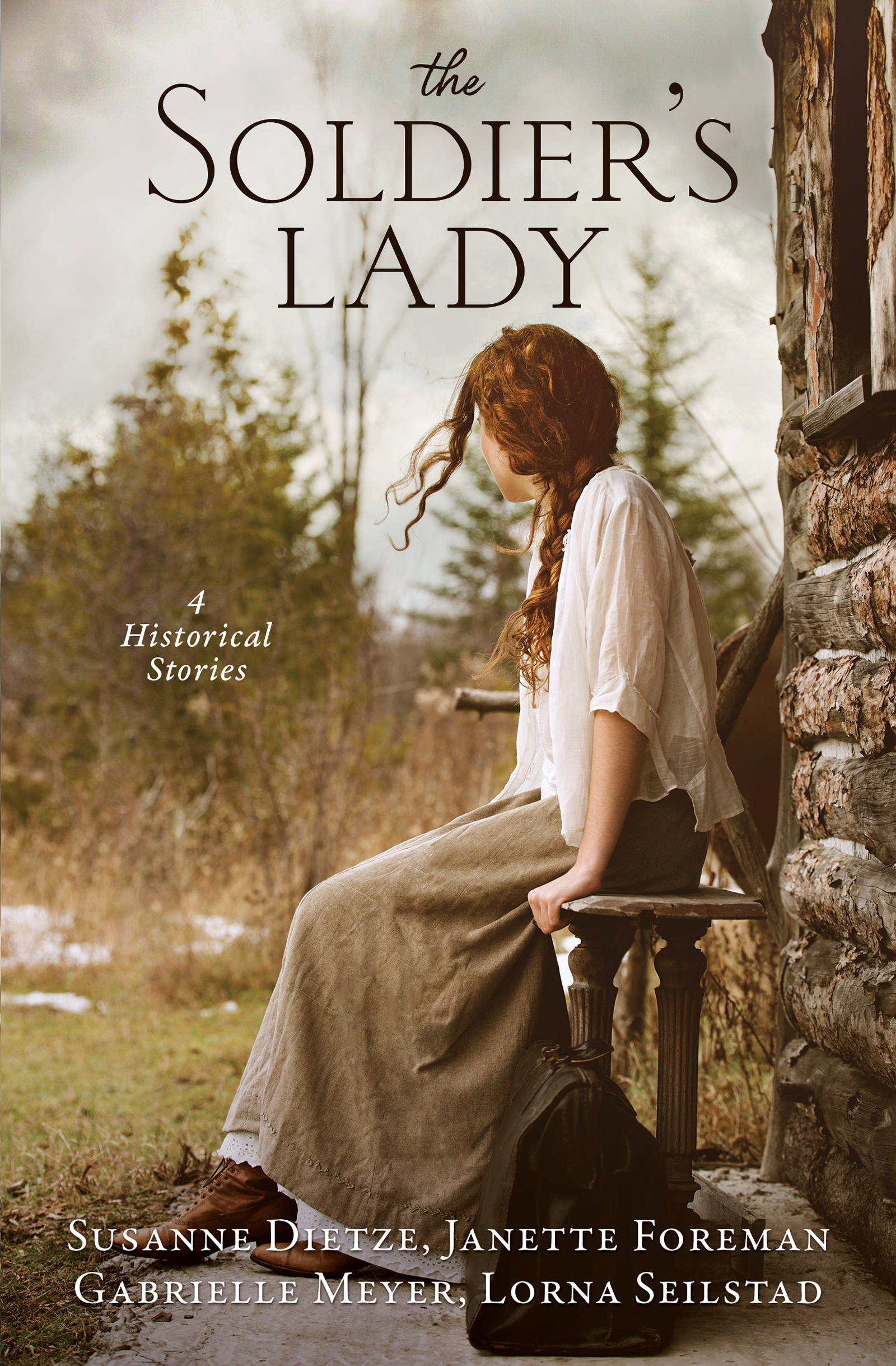 The Soldier's Lady book cover