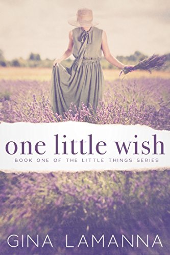 The Little Things Mystery book cover 1