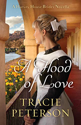 A Flood of Love book cover
