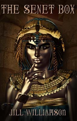 The Senet Box book cover