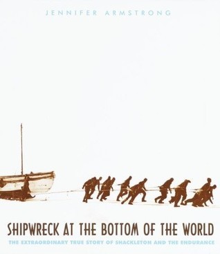 Shipwreck at the Bottom of the World book cover