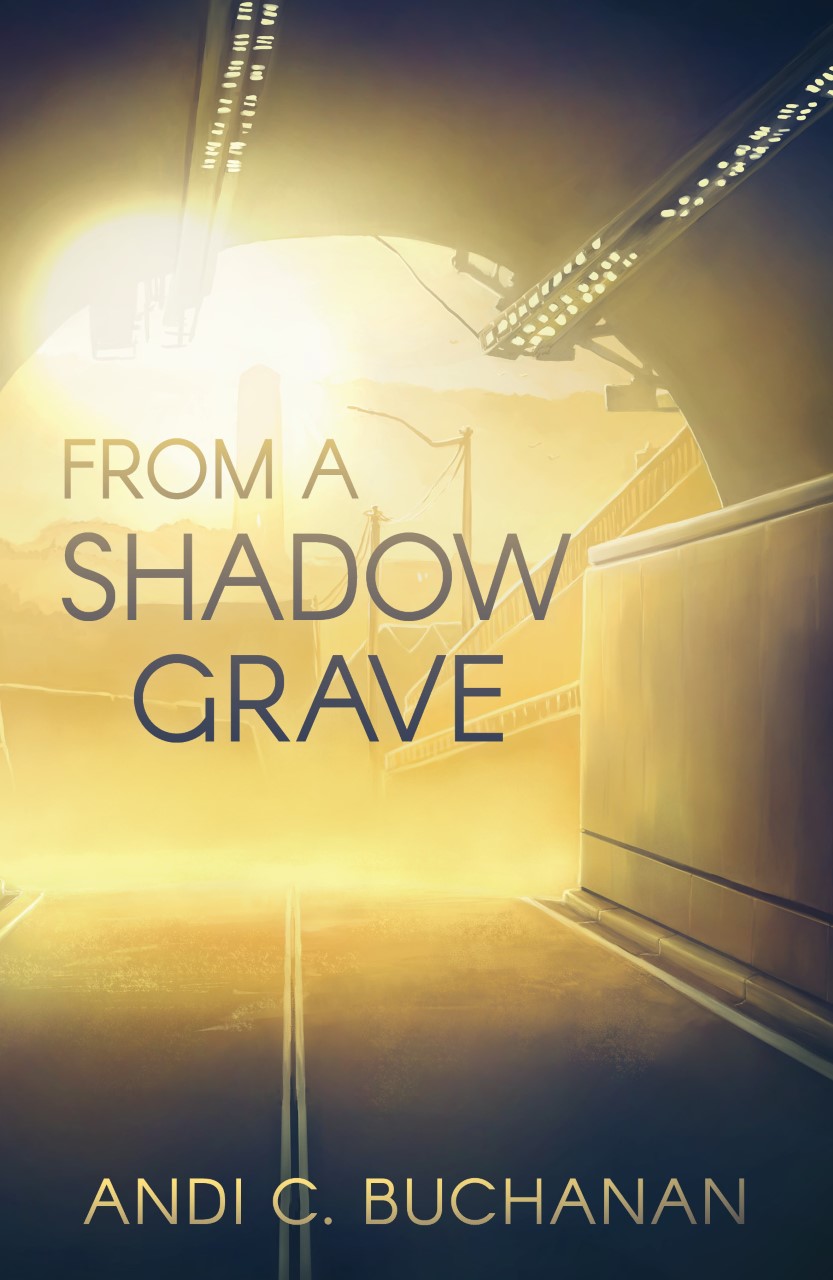 From a Shadow Grave book cover