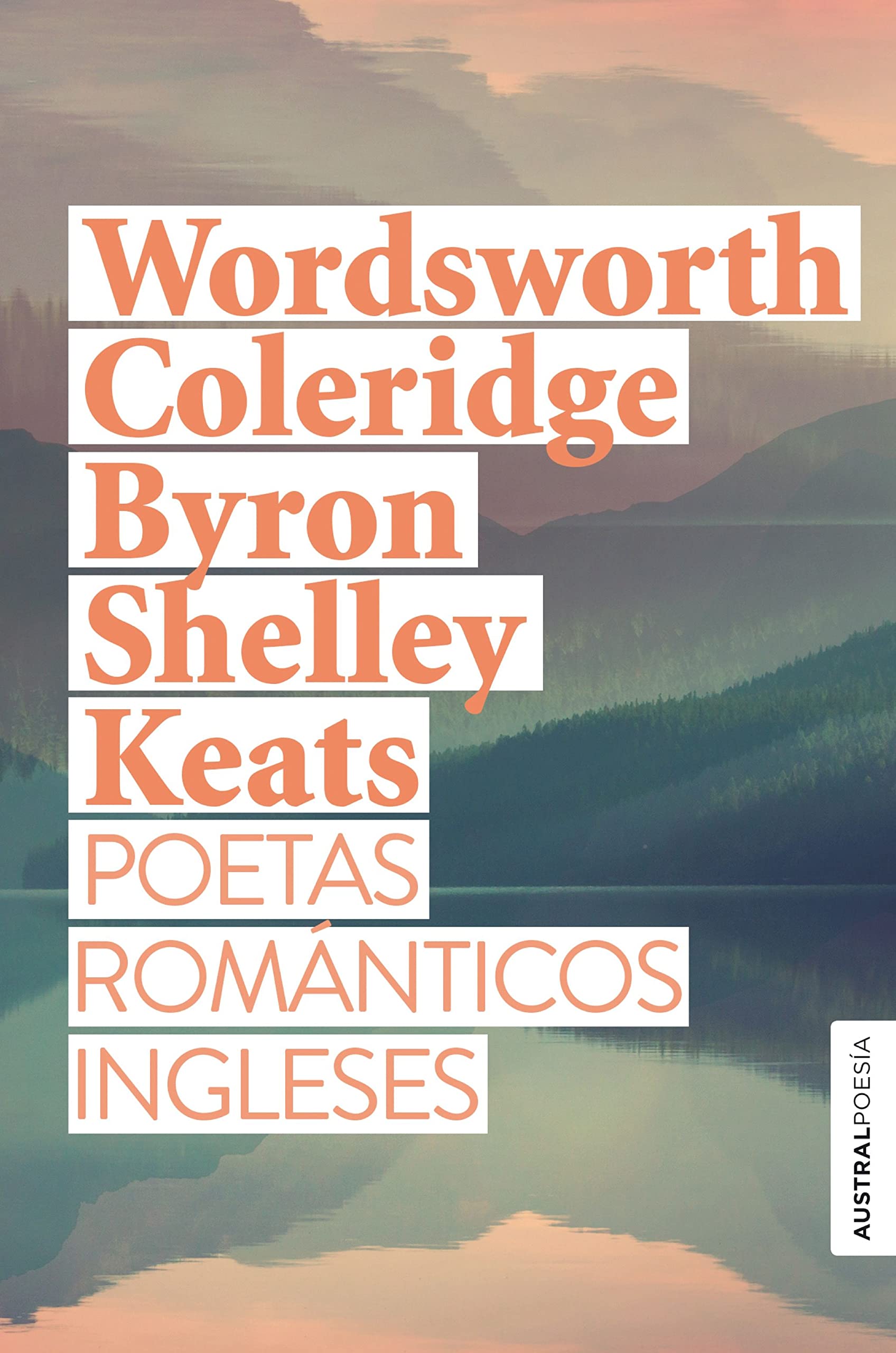 Poetas románticos ingleses book cover