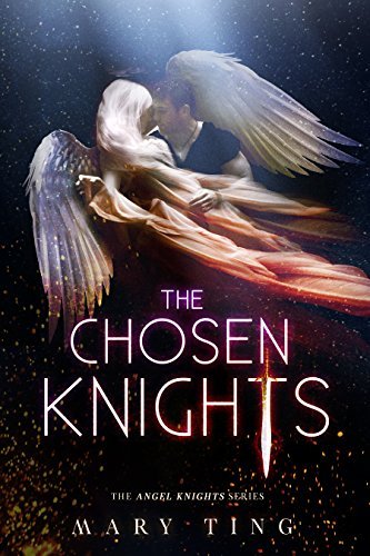 The Angel Knights book cover 1