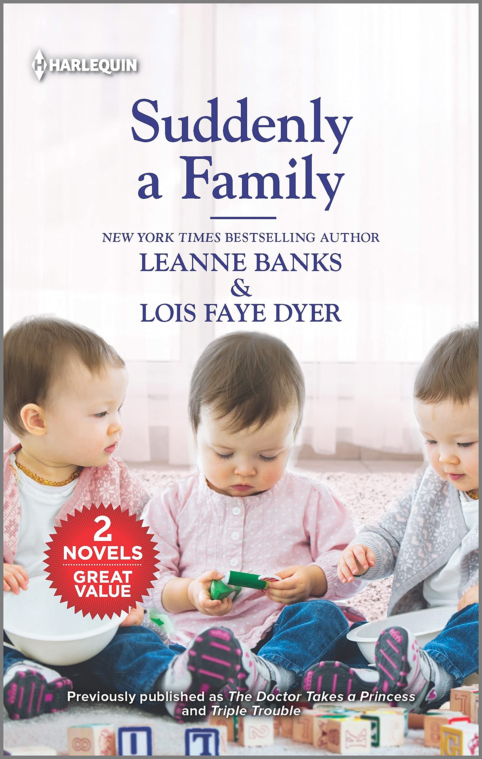 Suddenly a Family book cover