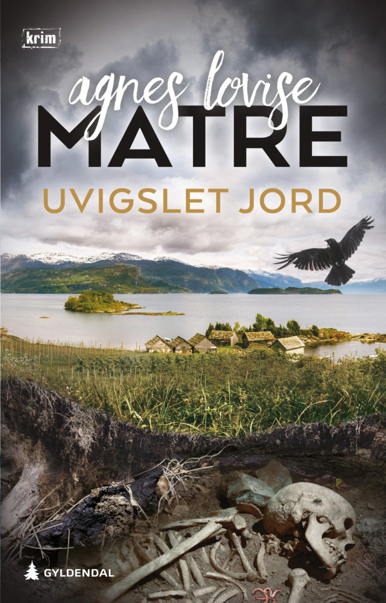 Bengt Alvsaker book cover 3
