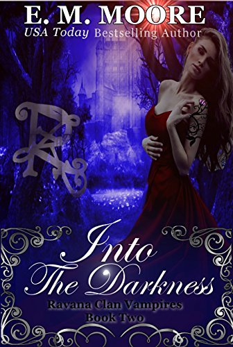 Into the Darkness book cover