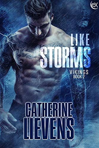 Vikings book cover 2