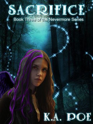 Nevermore book cover 3