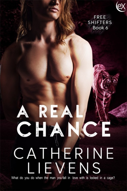 A Real Chance book cover