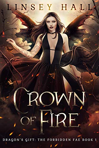 Dragon's Gift: The Forbidden Fae book cover 1