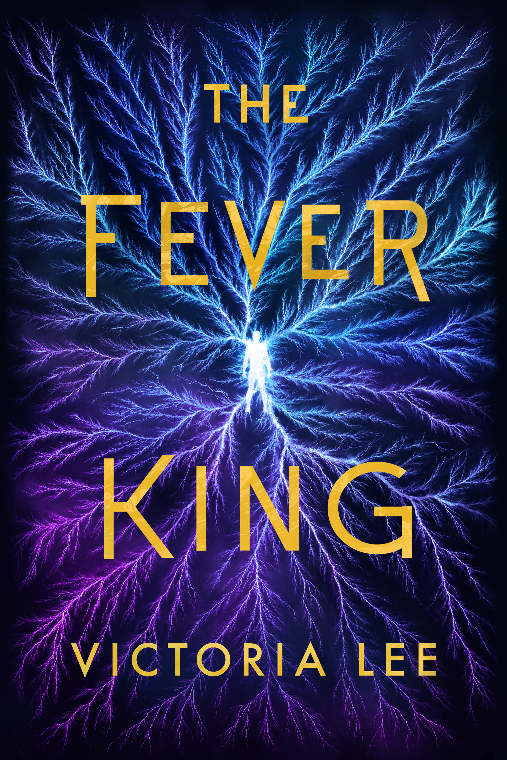 Feverwake book cover 1