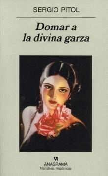 Domar a la divina garza book cover