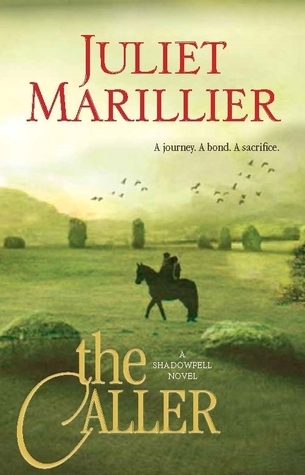 Shadowfell book cover 3