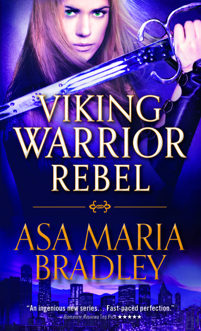 Viking Warriors/Norse Warrior Protectors book cover 2