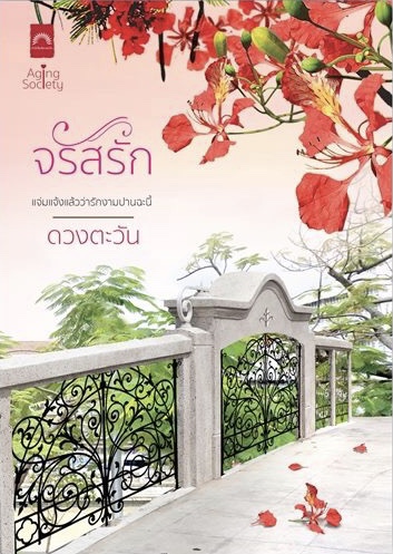 Aging Society book cover 1