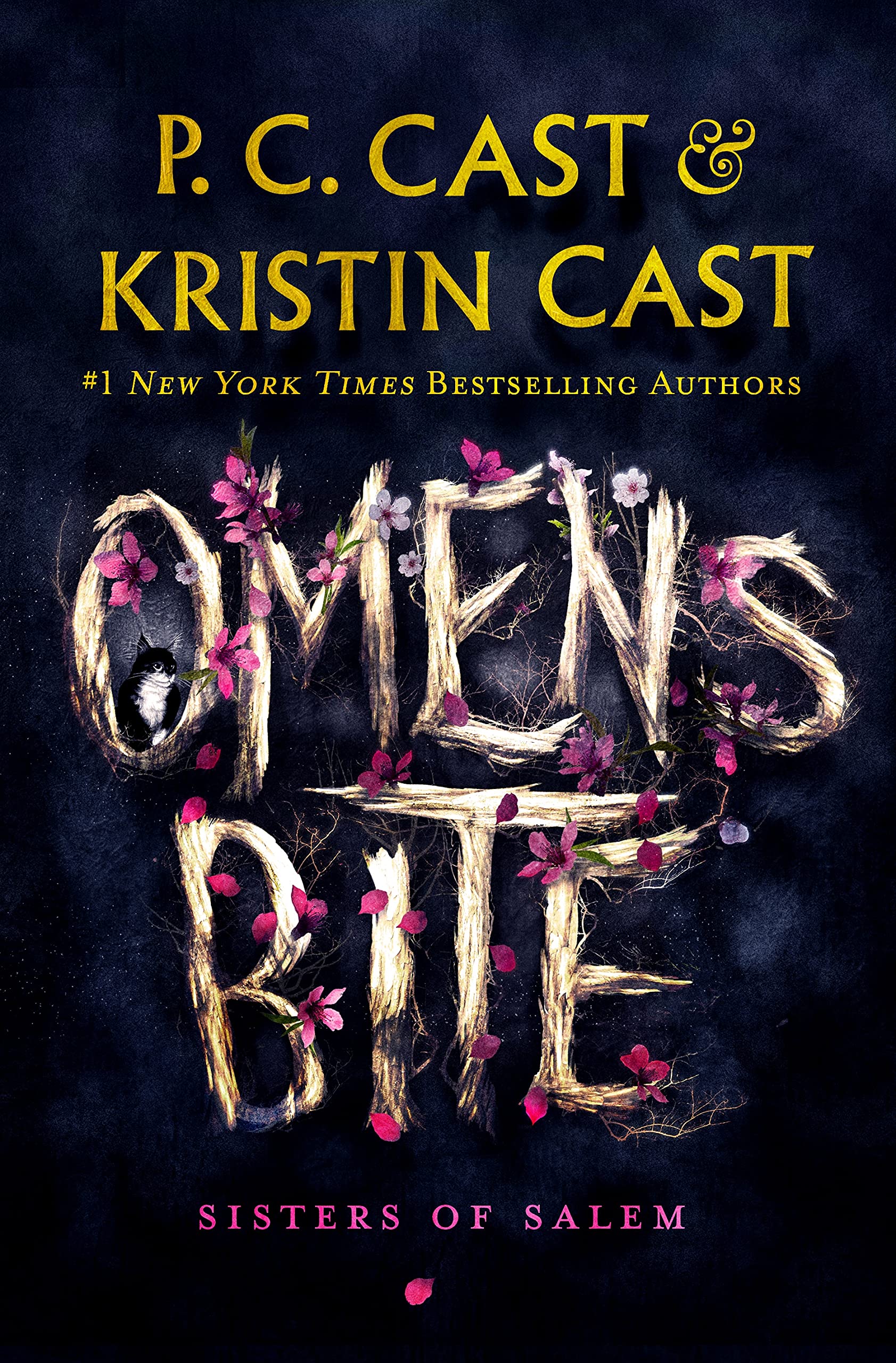 Sisters of Salem book cover 2