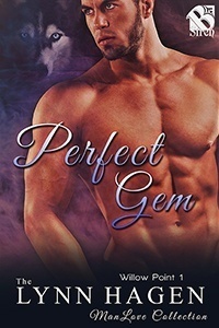 Willow Point book cover 1