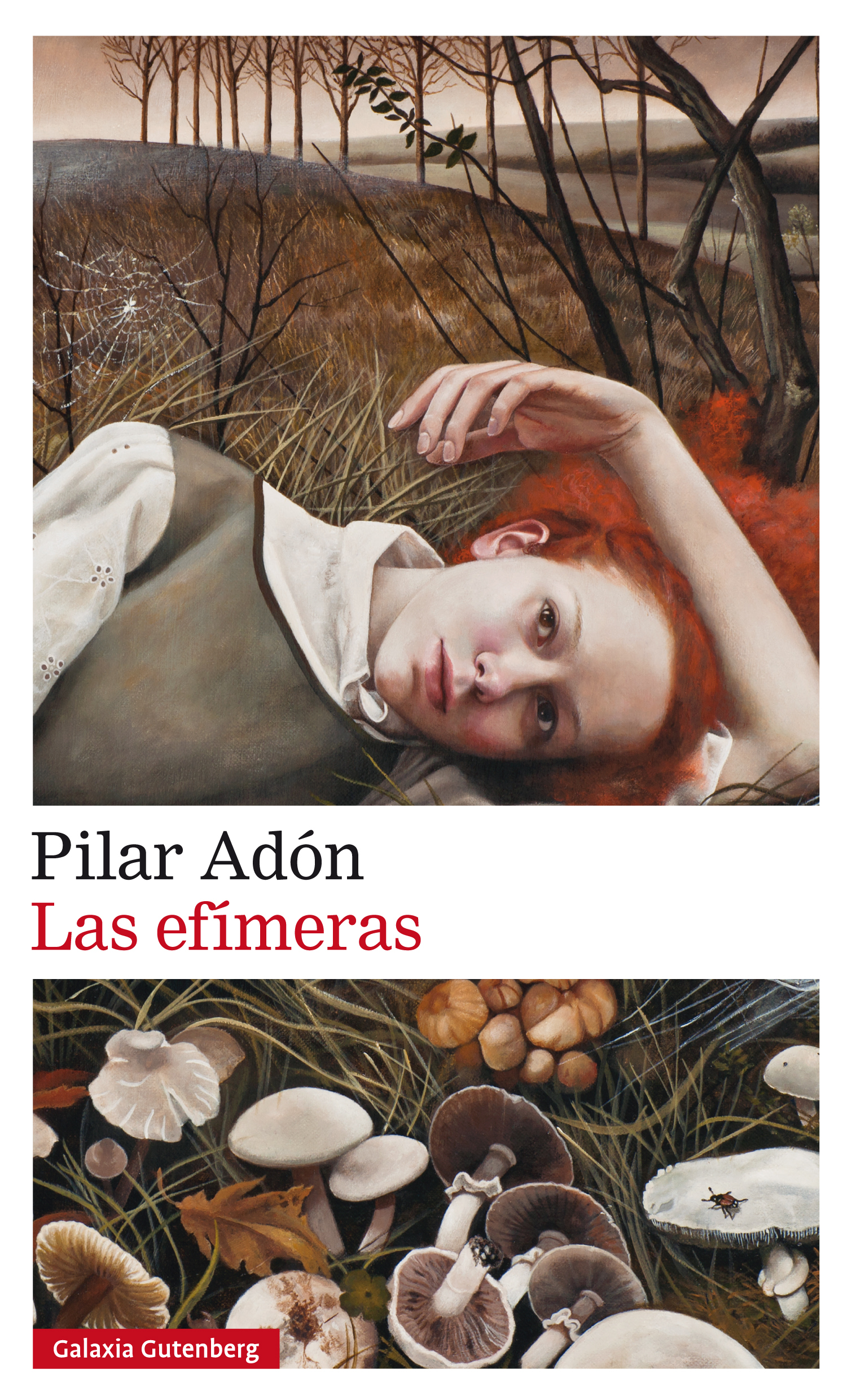 Las efímeras book cover