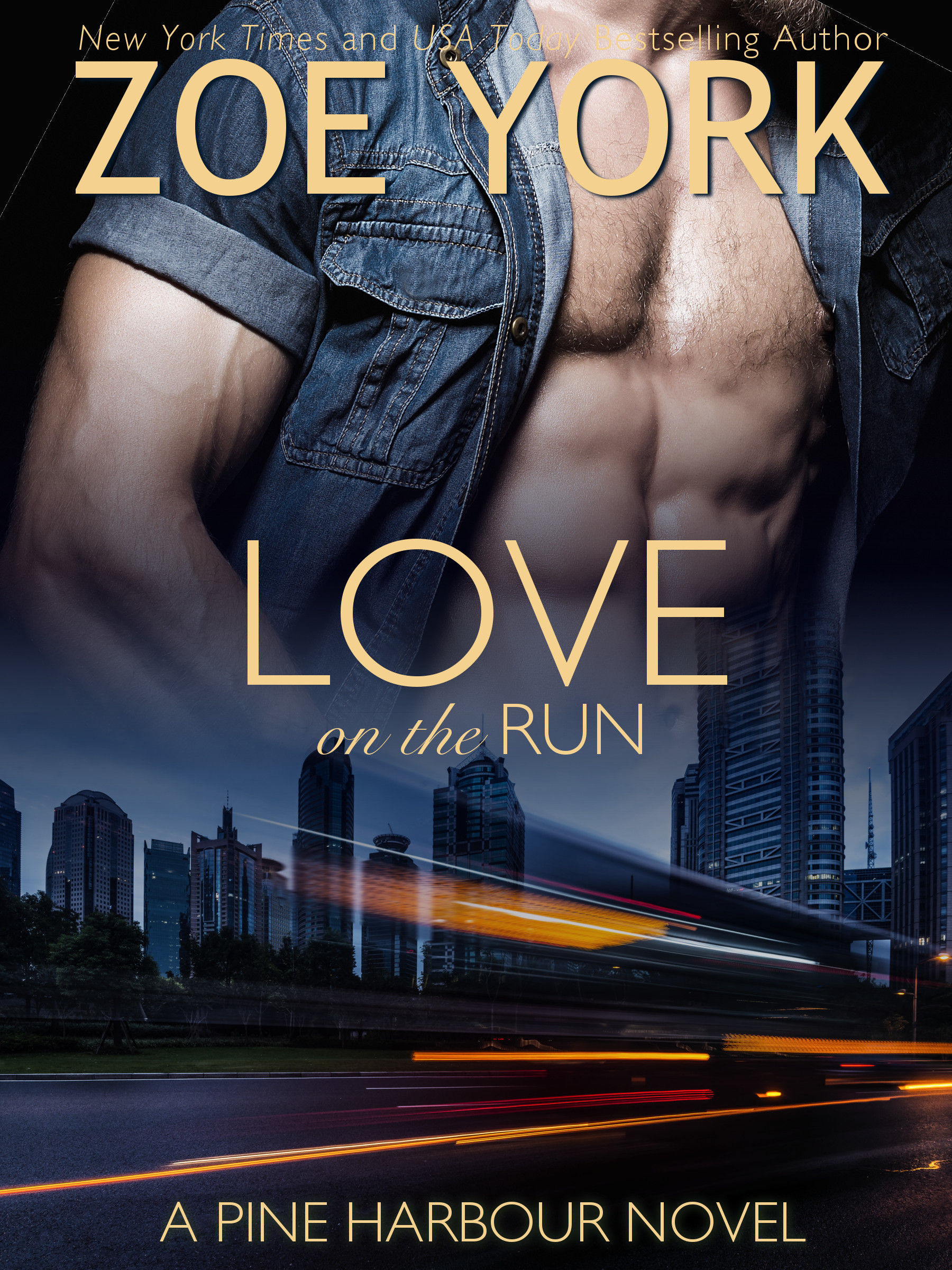Love on the Run book cover