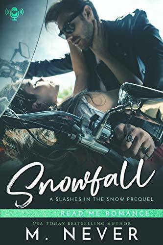 Snowfall book cover
