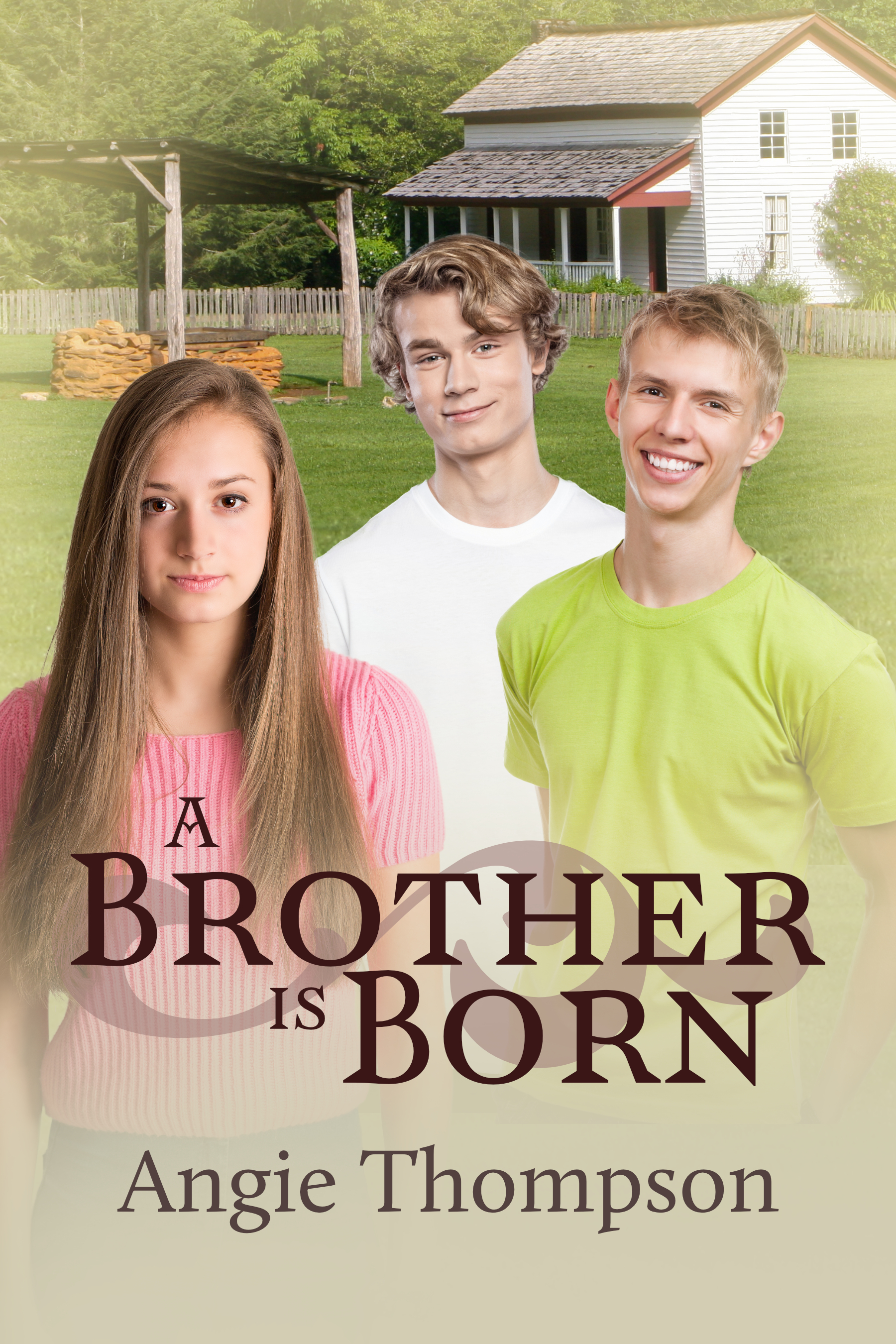 A Brother Is Born book cover