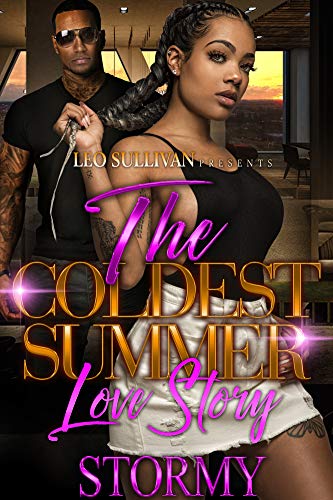 The Coldest Summer Love Story book cover