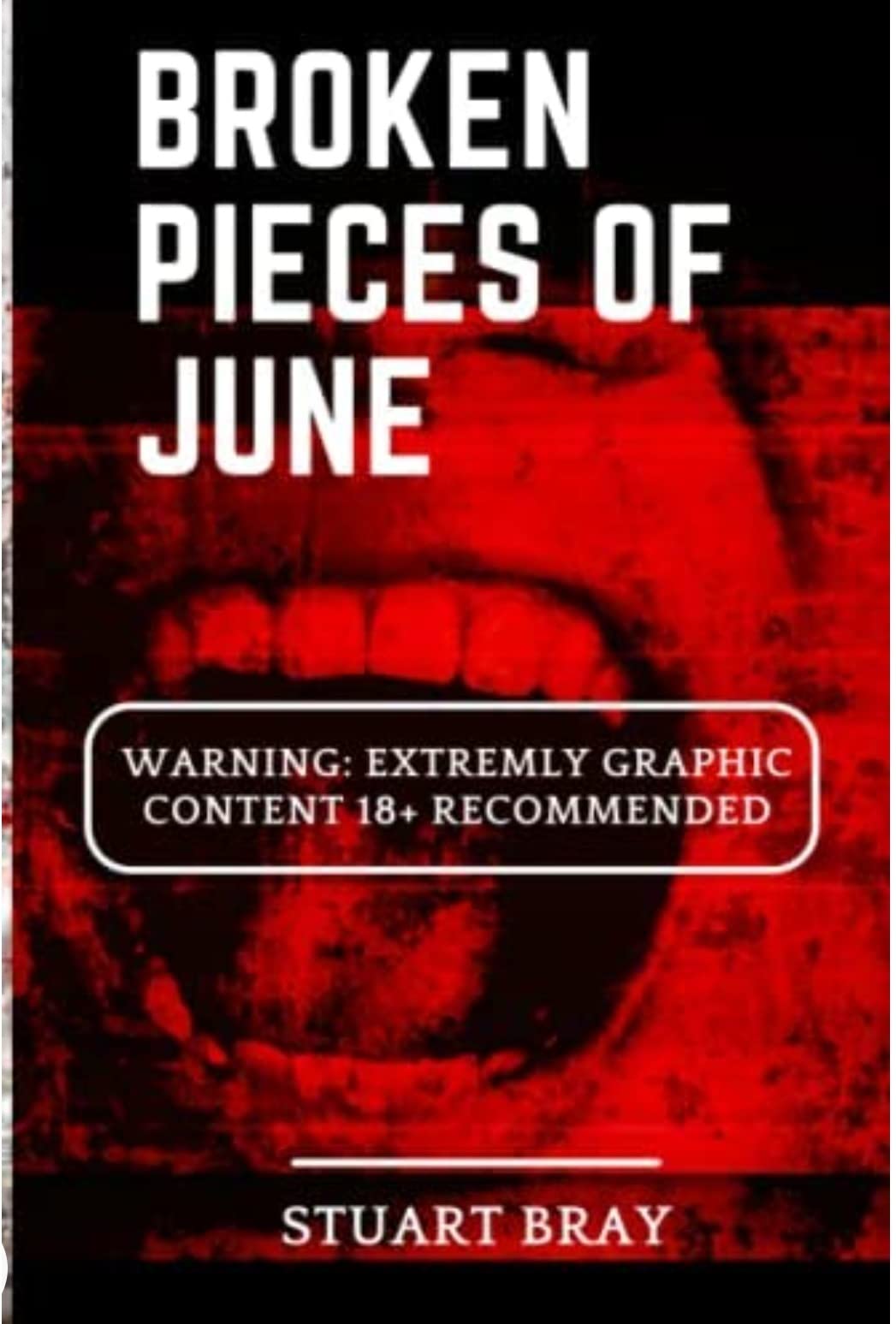 Broken pieces of June book cover