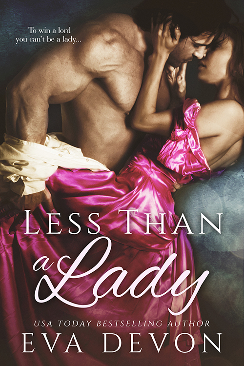 Less Than a Lady book cover
