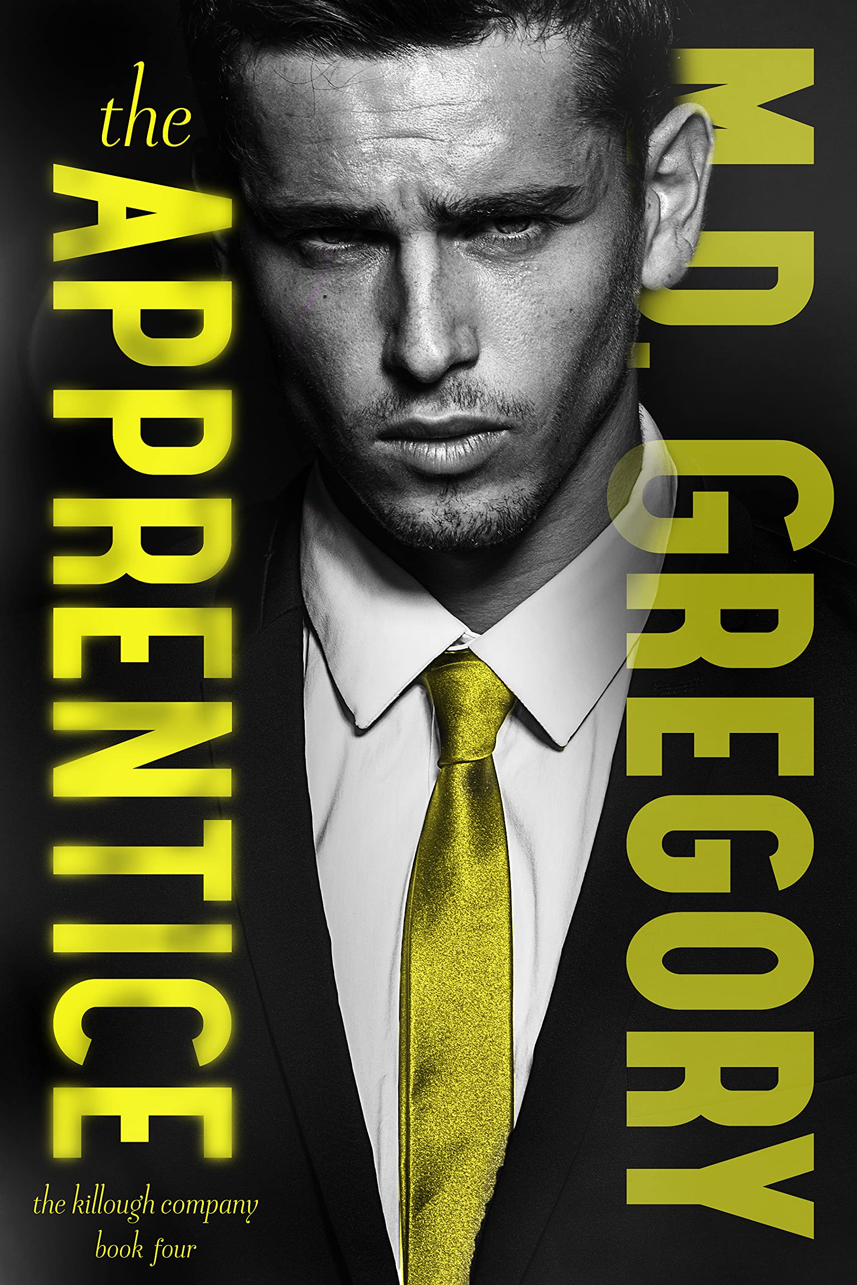 The Apprentice book cover