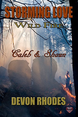 Storming Love: Wild Fire book cover 2