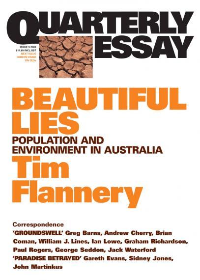 Beautiful Lies book cover