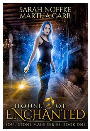 Soul Stone Mage book cover 1