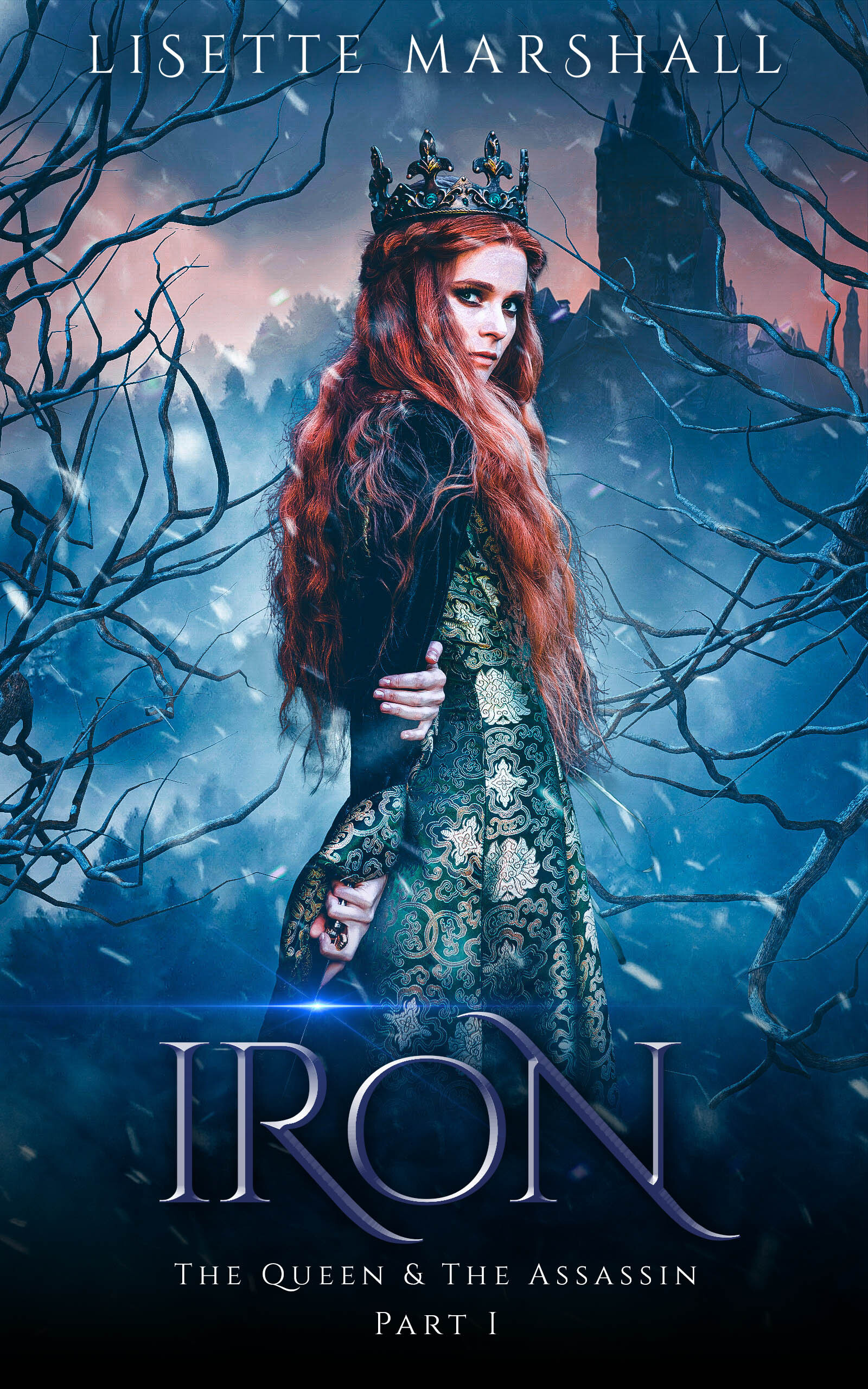 The Queen & the Assassin book cover 1