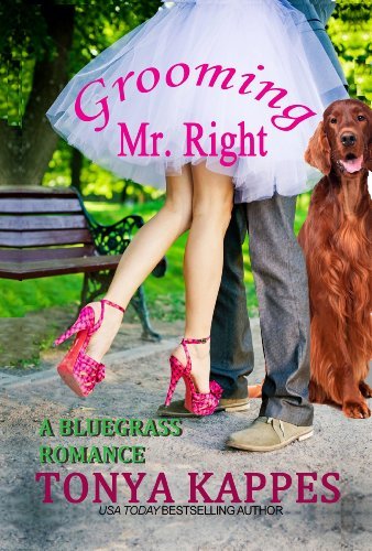 A Bluegrass Romance book cover 1