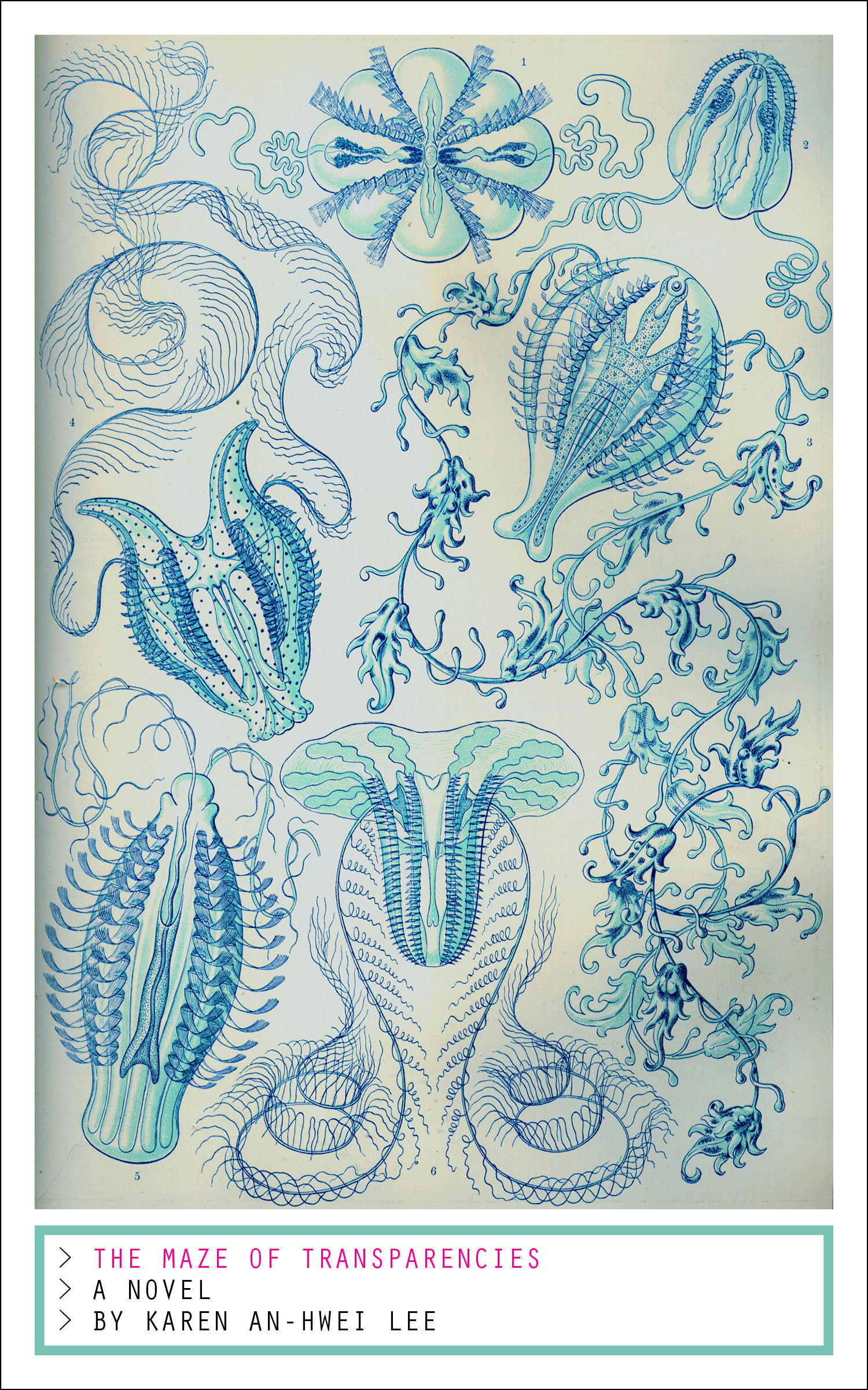The Maze of Transparencies book cover