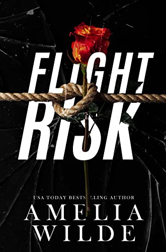 Flight Risk book cover