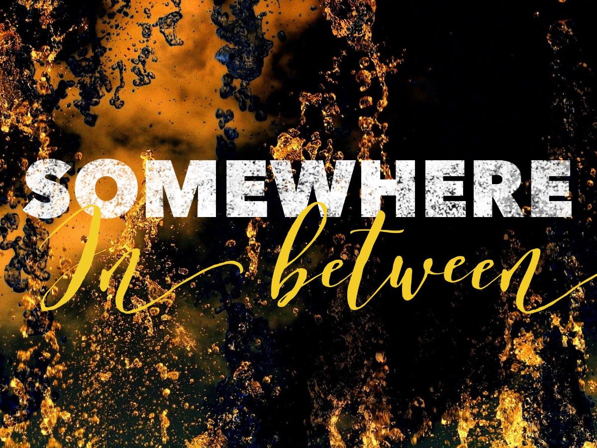 Somewhere In Between book cover