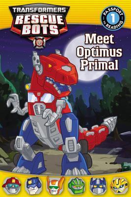 Transformers book cover