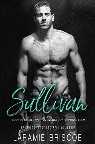 Sullivan book cover