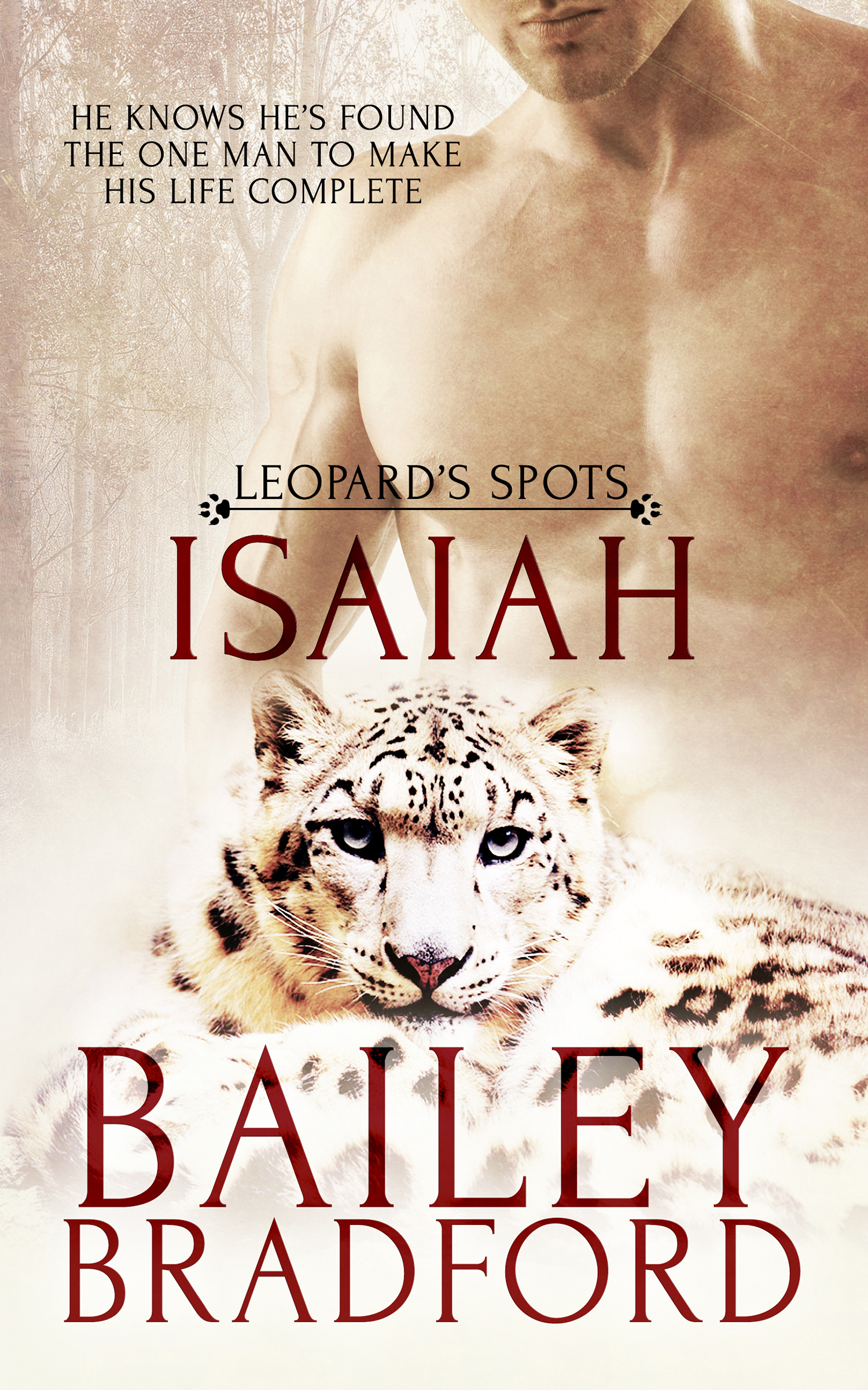 Isaiah book cover