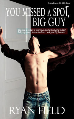You Missed a Spot, Big Guy book cover