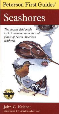 Peterson First Guide to Seashores book cover