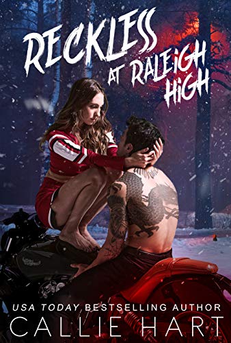 Raleigh Rebels book cover 3