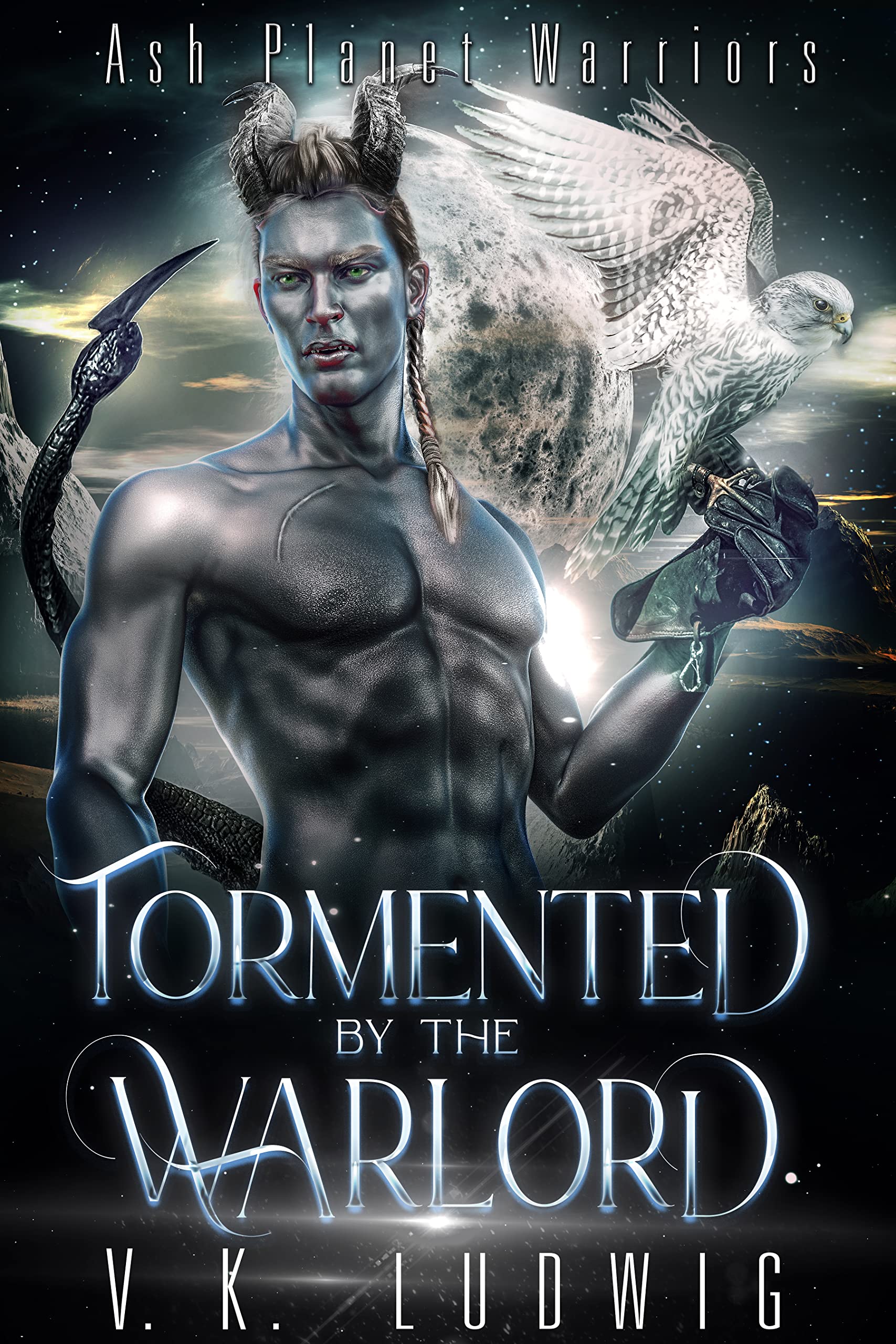 Tormented by the Warlord book cover